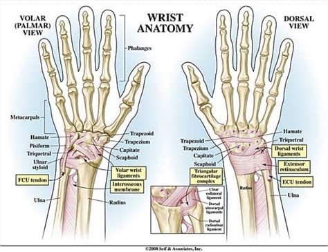 lunotriquetral ligament injury hand